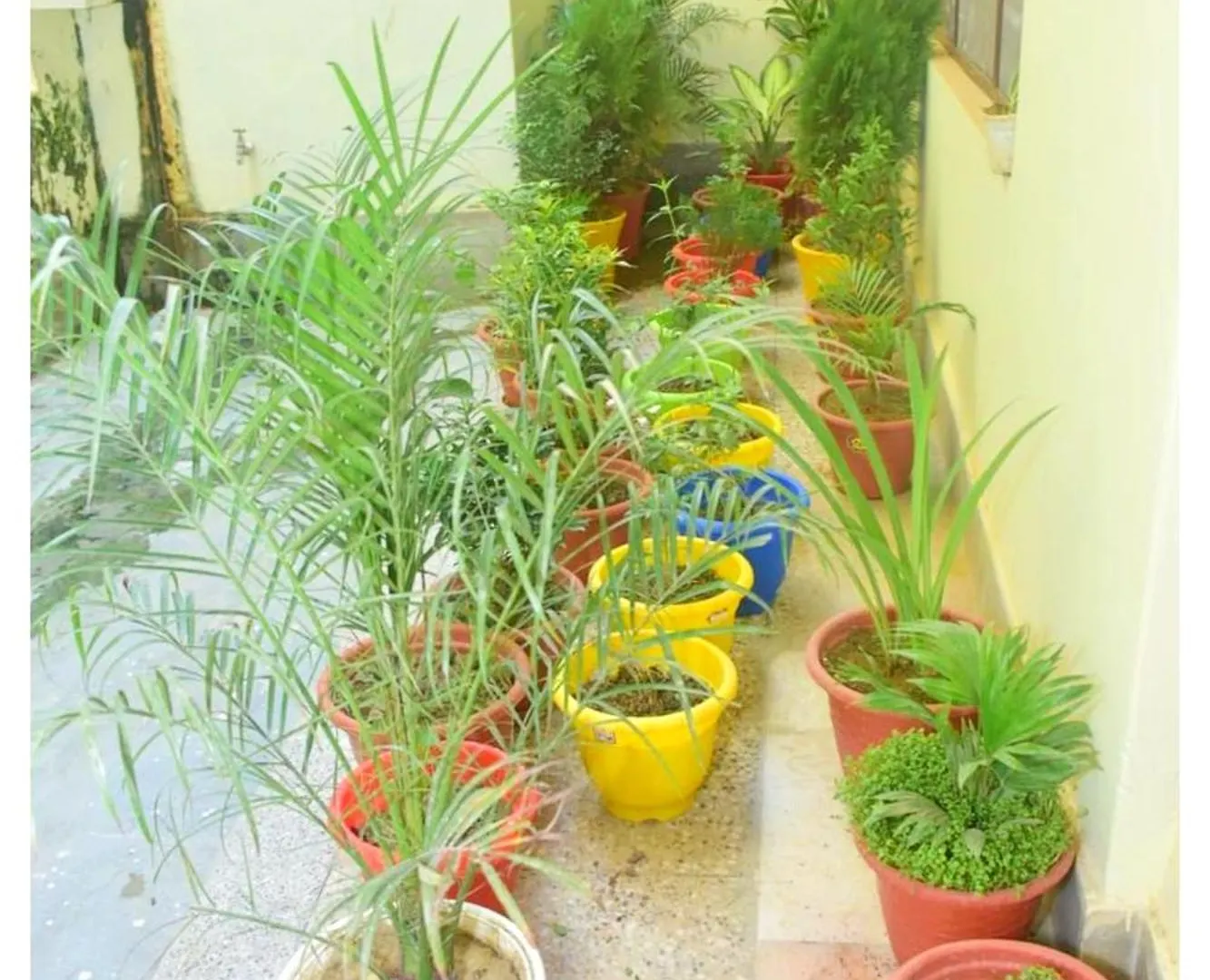 Hotel Subh Kashi # Near Shree Kashi Vishwanath Temple And Ganga Ghat - With #Wifi #Room Service #Spacious & Luxury Room - A Top Rated Premium Hotel In Varanasi